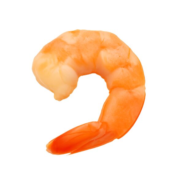 Akm Sajjad Performance Polo Adult Grey Thumbnail